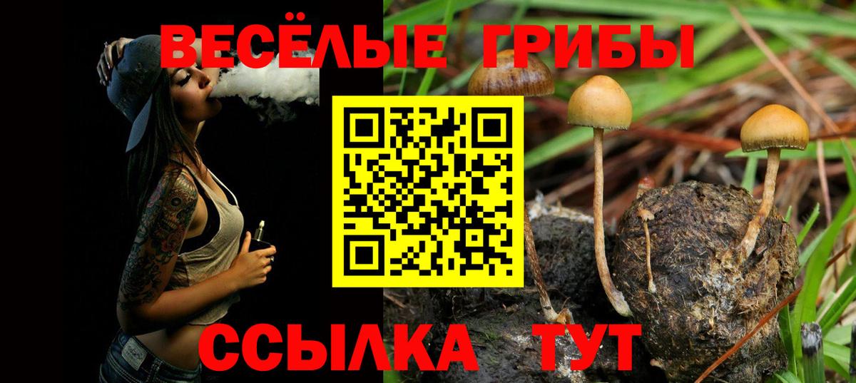 Галлюциногенные грибы прущие грибы Буйнакск